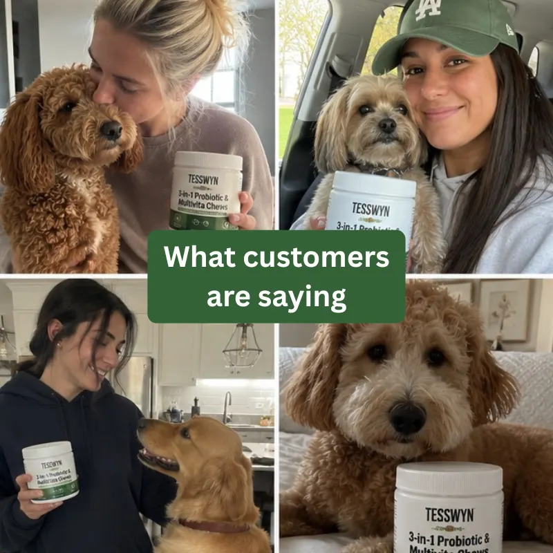 Happy Tesswyn customers and their dogs
