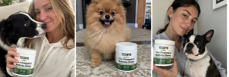 Happy Tesswyn customers and their dogs