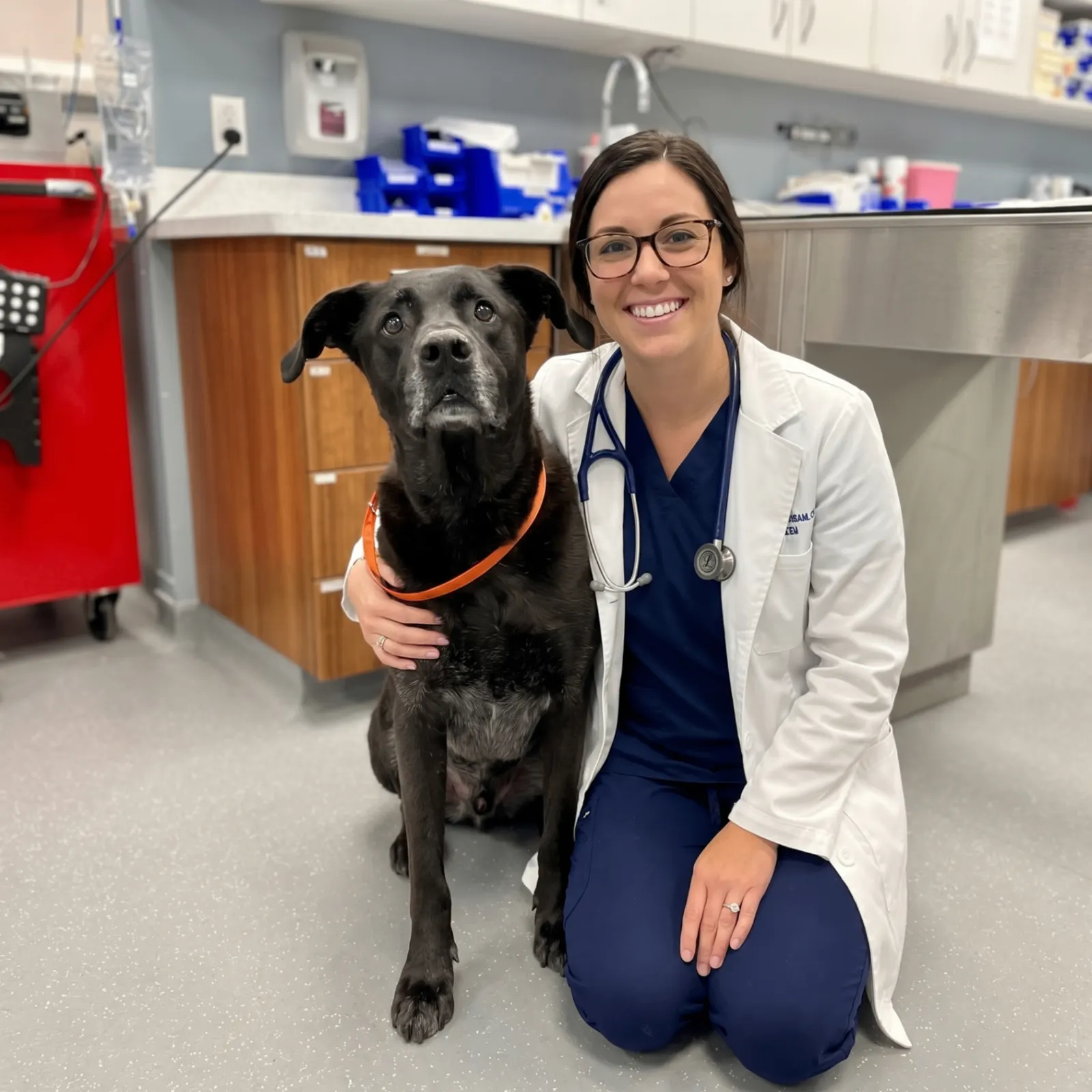 Dr. Emma Nowak, DVM